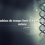 Question : Combien de temps faut-il à un œuf d’oiseau pour éclore